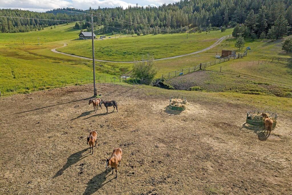 Wilderness Cabin - Eden Valley Oroville Exteriör bild