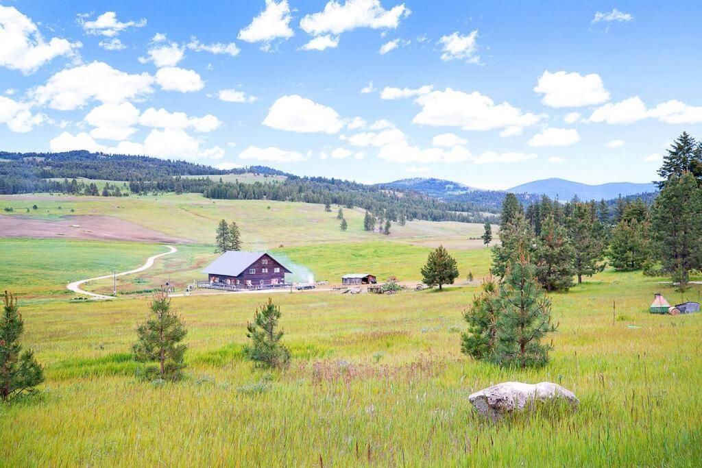 Wilderness Cabin - Eden Valley Oroville Exteriör bild